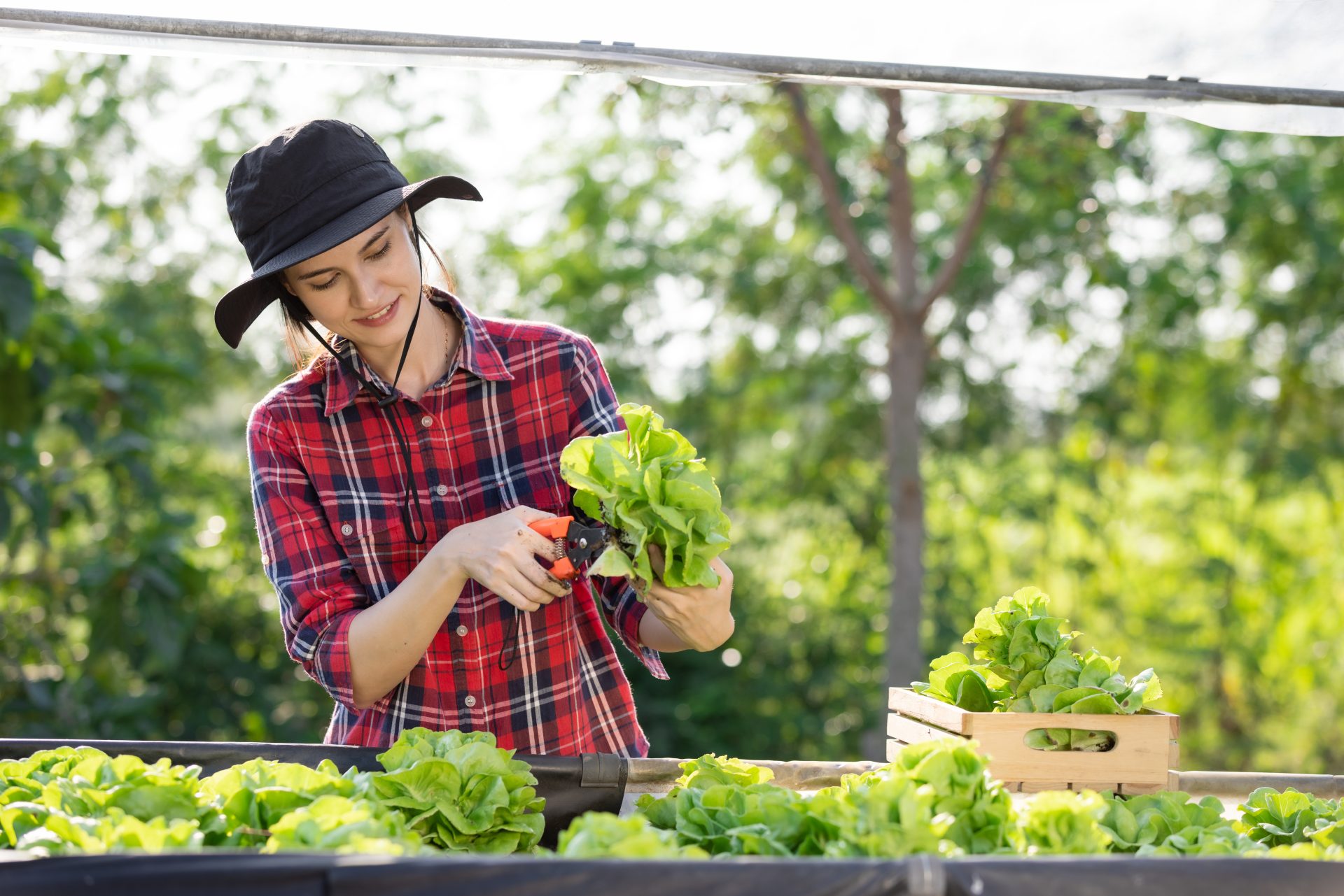 young female farmer happily collects organically g 2023 03 30 20 07 15 utc
