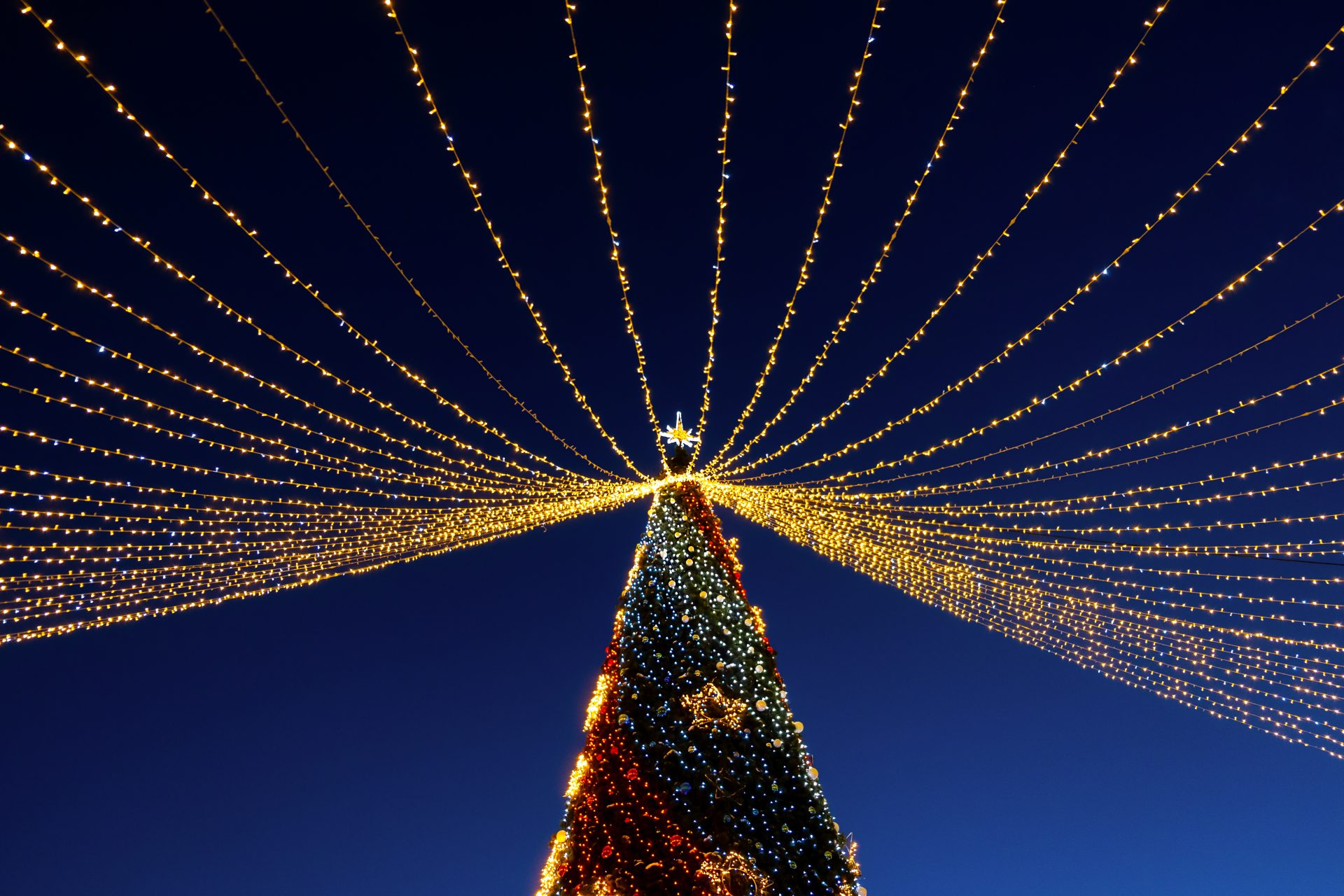 christmas tree street abstract postcard backgroun 2023 11 27 05 37 19 utc