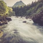 mountain river in the green forest 2023 11 27 05 10 58 utc