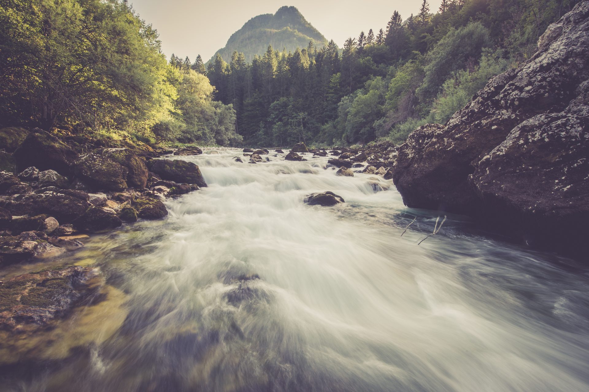 mountain river in the green forest 2023 11 27 05 10 58 utc