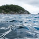 sea waves on the water against the background of 2023 11 27 05 32 14 utc