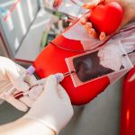 young woman making blood donation in hospital blo 2023 11 27 05 24 38 utc
