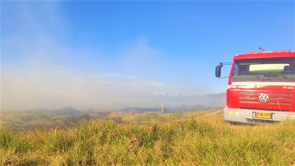 Organismos de emergencia logra contener incendio en las cercanias 1