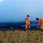 Organismos de emergencia logra contener incendio en las cercanias 2