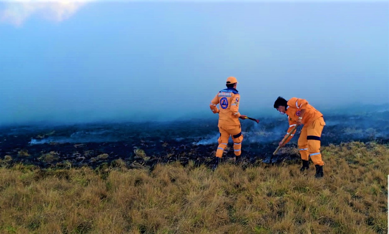 Organismos de emergencia logra contener incendio en las cercanias 2