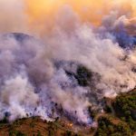 Se intensifican medidas preventivas ante alarmante aumento de incendios forestales en Colombia1