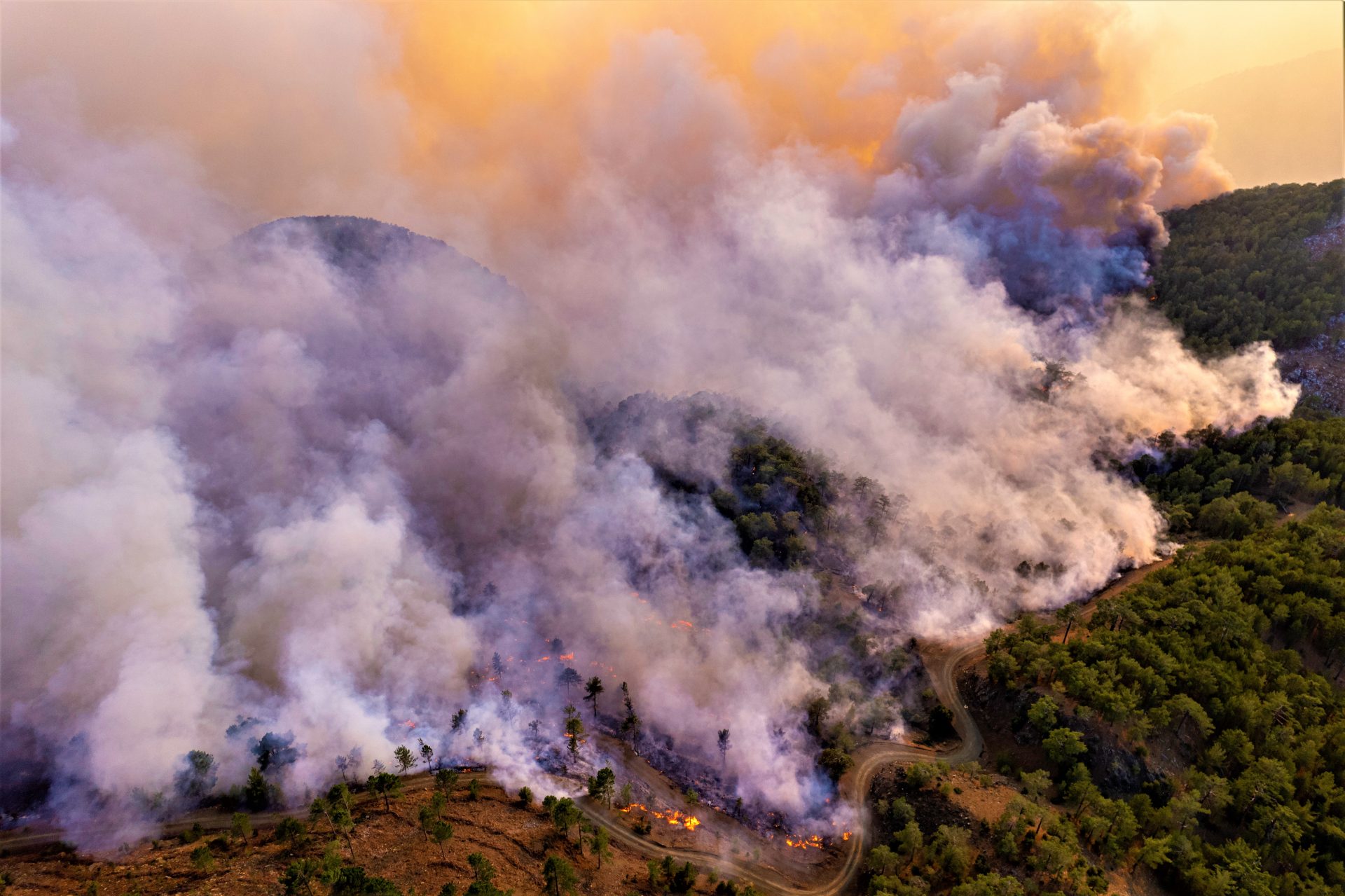 Se intensifican medidas preventivas ante alarmante aumento de incendios forestales en Colombia1
