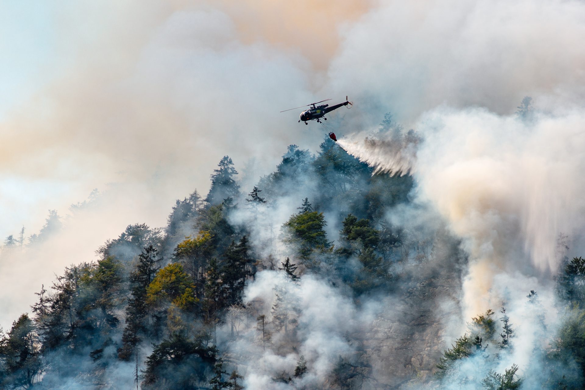 Se intensifican medidas preventivas ante alarmante aumento de incendios forestales en Colombia2