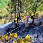 Tras incendio forestal en Sopo Bomberos coordinan esfuerzos para apagarlo definitivamente