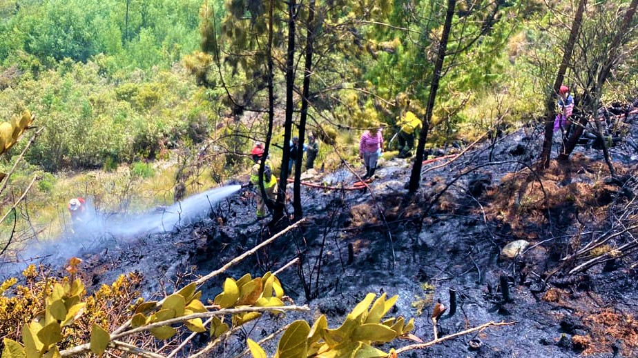 Tras incendio forestal en Sopo Bomberos coordinan esfuerzos para apagarlo definitivamente