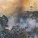 forest fire disaster in monte alegre do sul sao p 2023 11 27 04 56 38 utc