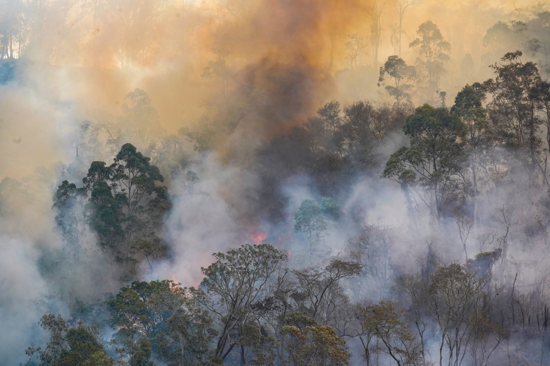 forest fire disaster in monte alegre do sul sao p 2023 11 27 04 56 38 utc