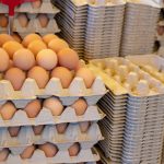 fresh chicken eggs in trays at local farmer market 2023 11 27 05 05 24 utc