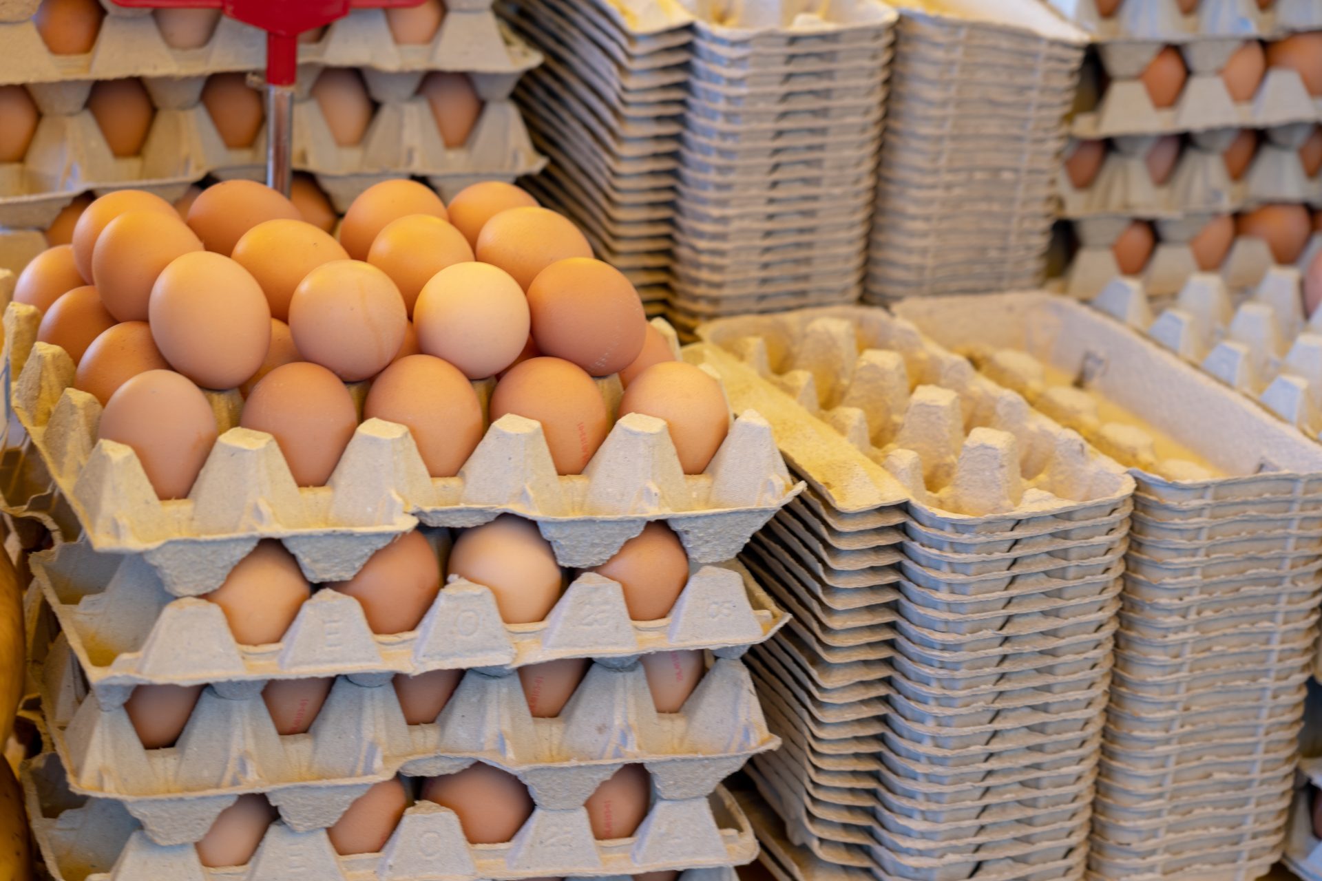 fresh chicken eggs in trays at local farmer market 2023 11 27 05 05 24 utc