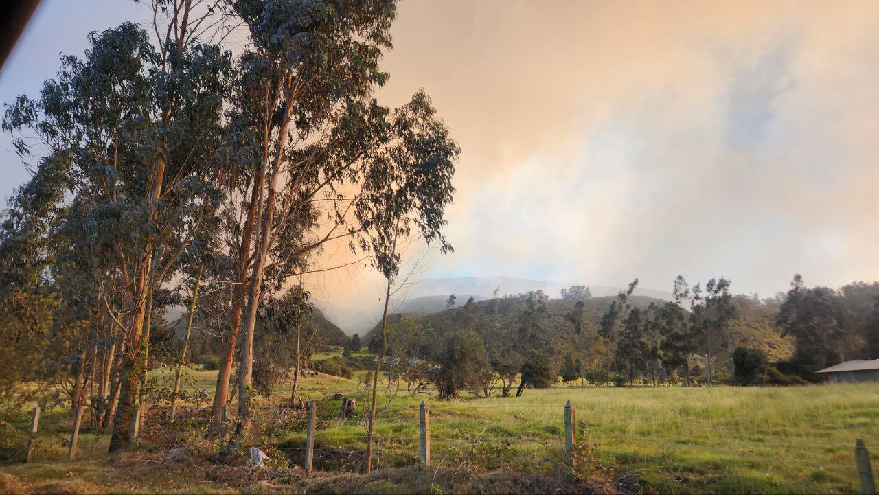 photo 2024 01 23 17 18 47