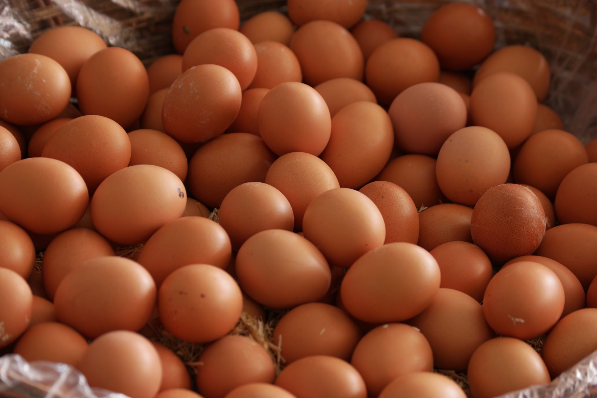 pile of brown organic eggs at farmers market 2023 11 27 05 02 02 utc