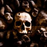 skulls and bones in paris catacombs 2023 11 27 05 11 01 utc