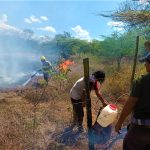 Incendio de capa vegetal en Agua de Dios fue totalmente apagado1