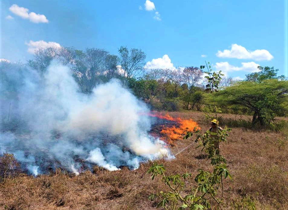 Incendio de capa vegetal en Agua de Dios fue totalmente apagado2