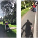 Proyecto nuevo 9