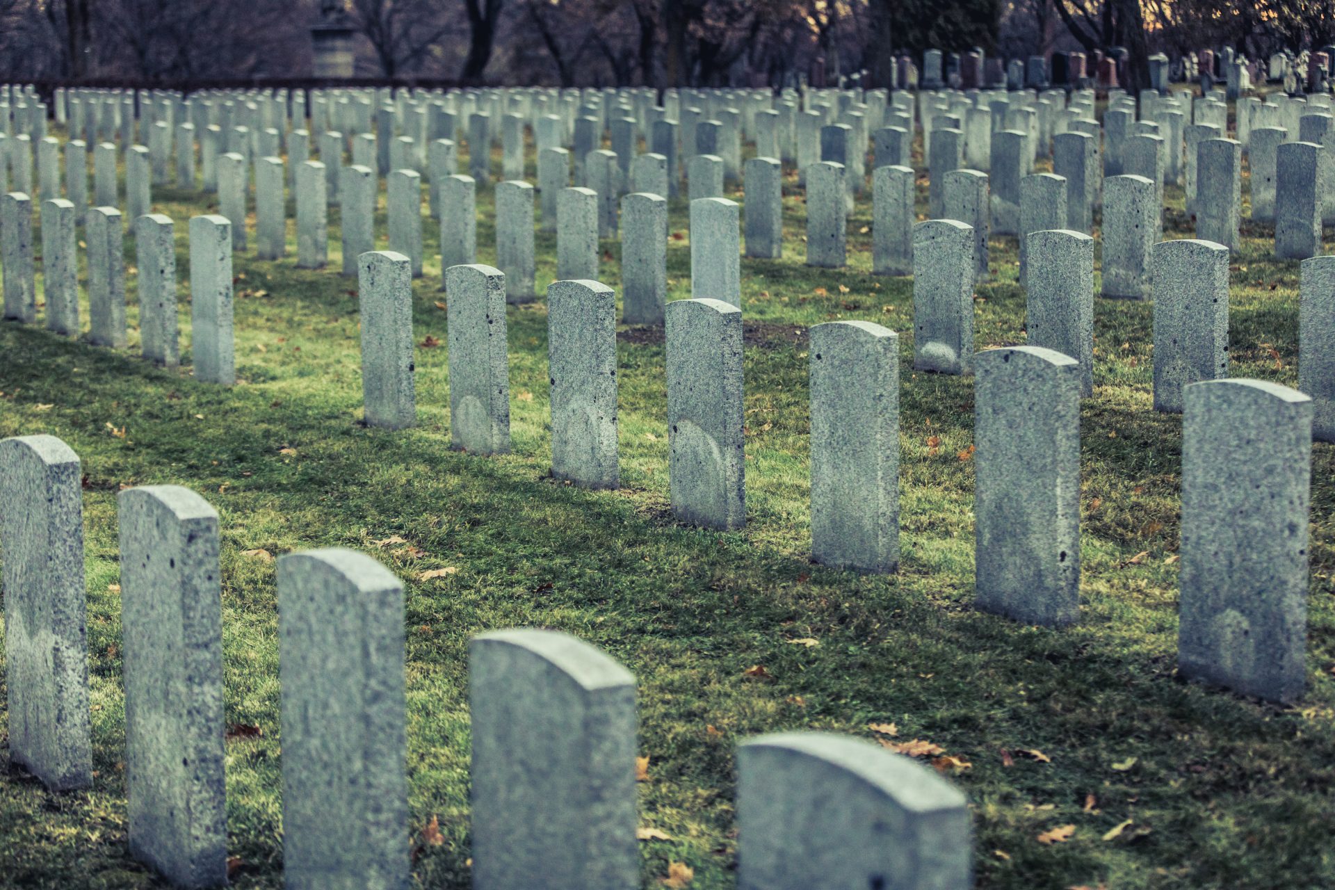 back of army headstone and graveyard cemetery duri 2023 11 27 04 55 31 utc 1
