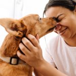 ginger dog licking its owner s face by window at h 2023 11 27 05 33 14 utc