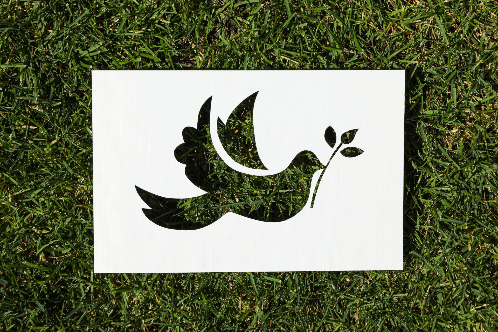 international day of peace or world peace day sym 2023 11 27 05 14 34 utc