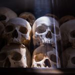 Bones