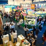 Mas de 50.000 visitantes a ANATO demuestran el atractivo turistico de Colombia