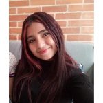 Proyecto nuevo 12