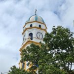 Proyecto nuevo 24