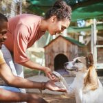 black couple love or petting dog in animal shelte 2023 11 27 04 58 48 utc