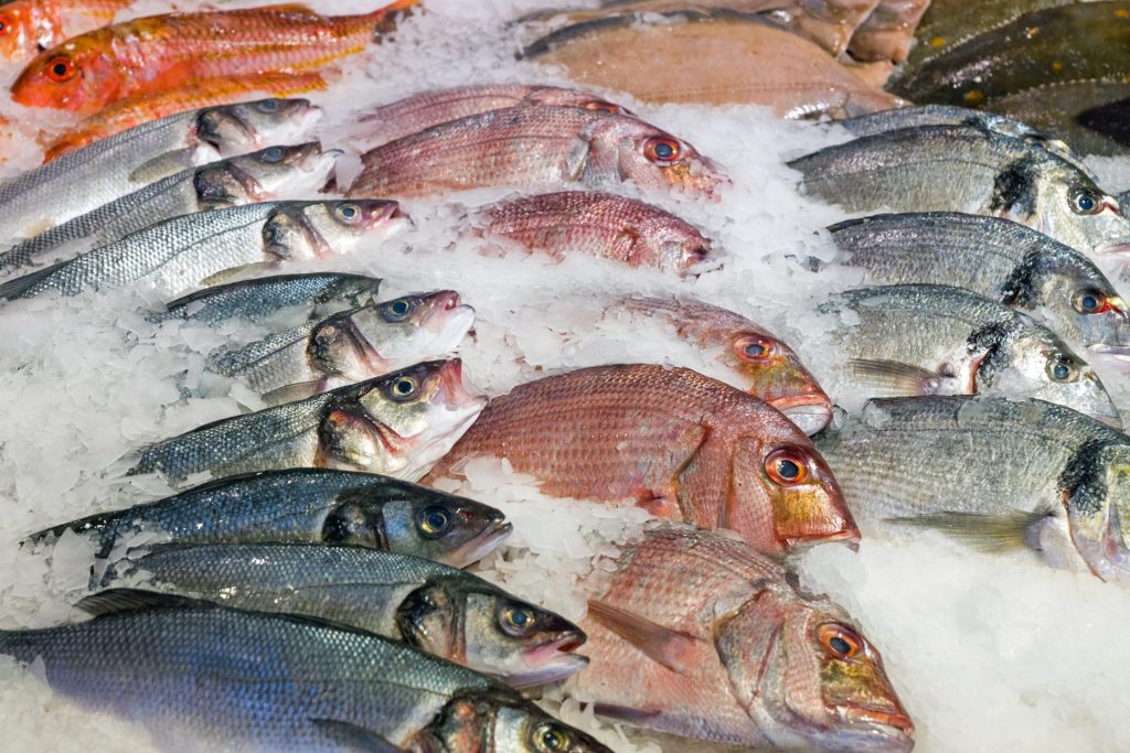 fresh fish at the market 2023 11 27 05 34 12 utc