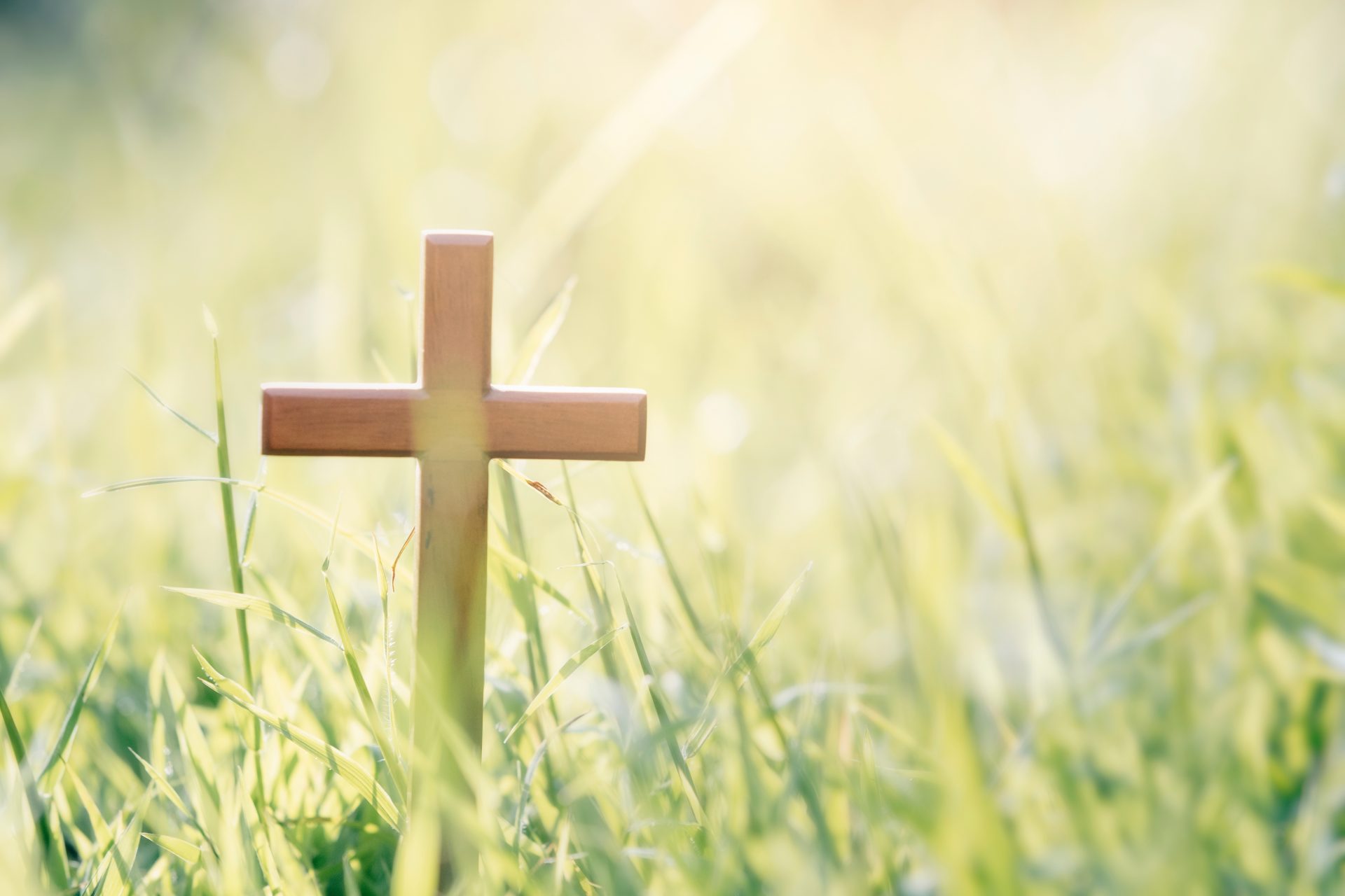 hope in christ 2023 11 27 05 17 21 utc