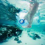 plastic garbage polluting the ocean 2023 11 27 04 59 39 utc