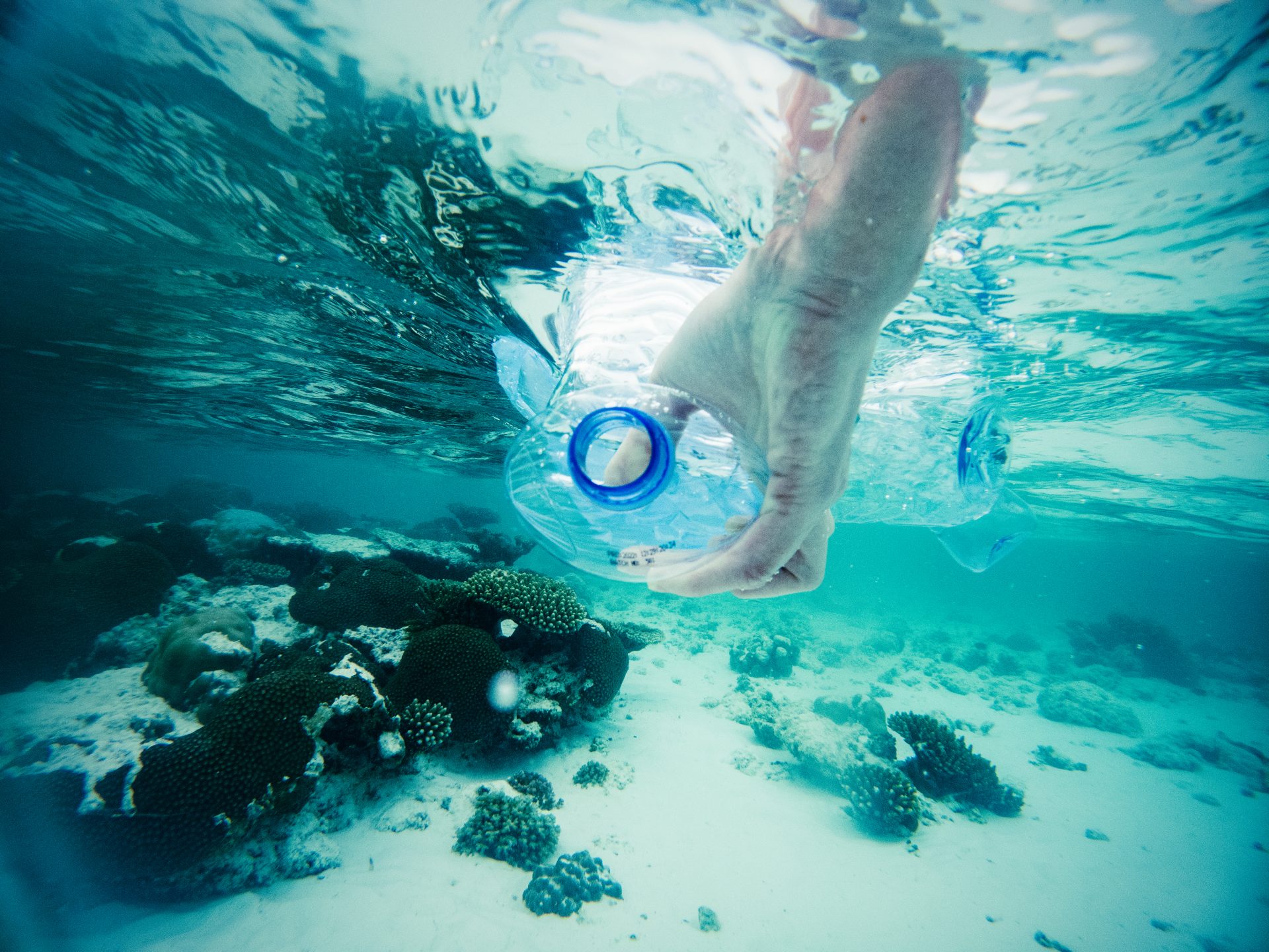 plastic garbage polluting the ocean 2023 11 27 04 59 39 utc