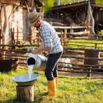 portrait of young farmer pours milk into can at hi 2023 11 27 04 49 20 utc