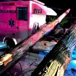 Emergencia en la via Ubate Lenguazaque Arbol cae sobre ambulancia dejando dos heridos