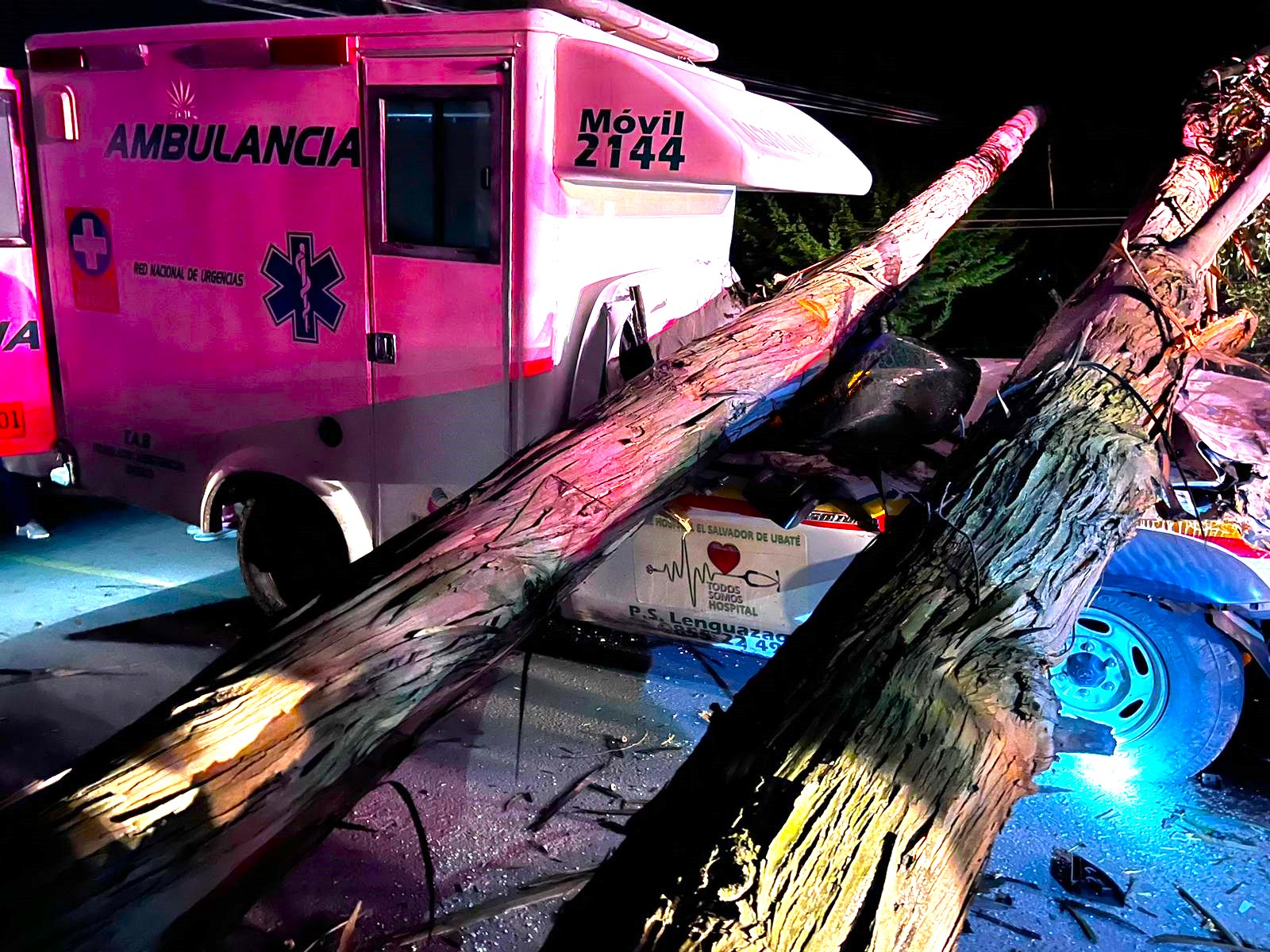 Emergencia en la via Ubate Lenguazaque Arbol cae sobre ambulancia dejando dos heridos