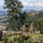 IMG 20240416 111251 819