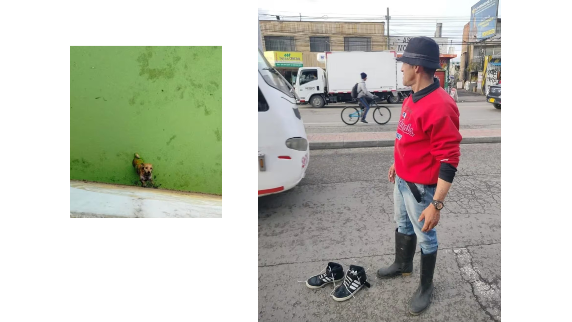 Proyecto nuevo 9
