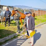 Zipaquira promueve la legalizacion y el bienestar animal mediante jornada educativa