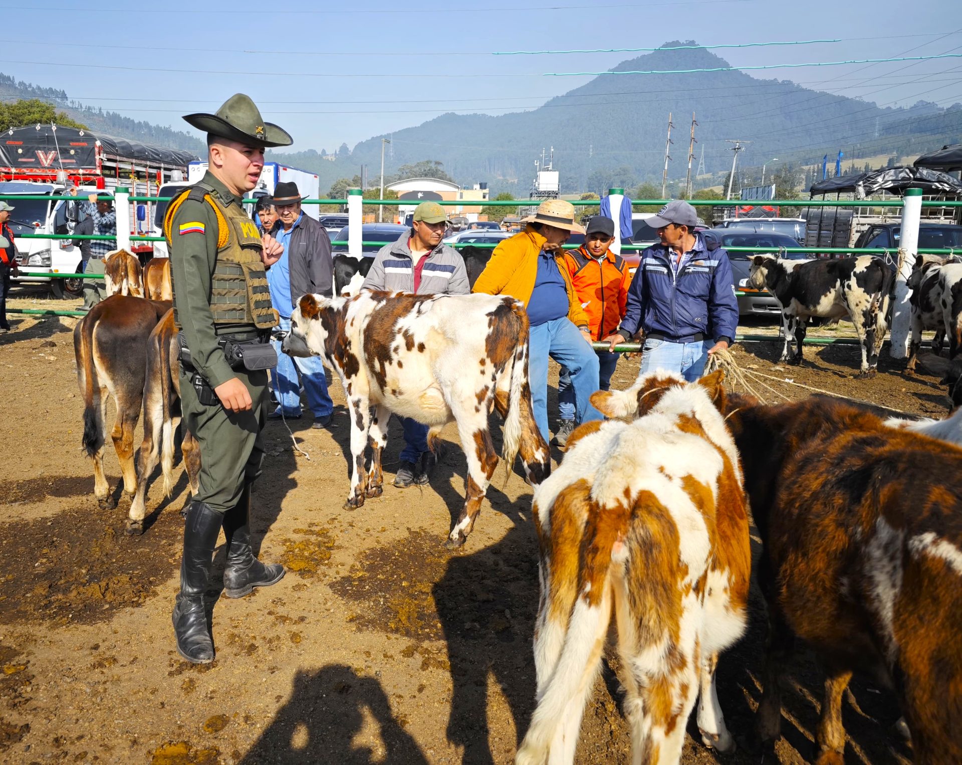 Zipaquira promueve la legalizacion y el bienestar animal mediante jornada educativa2
