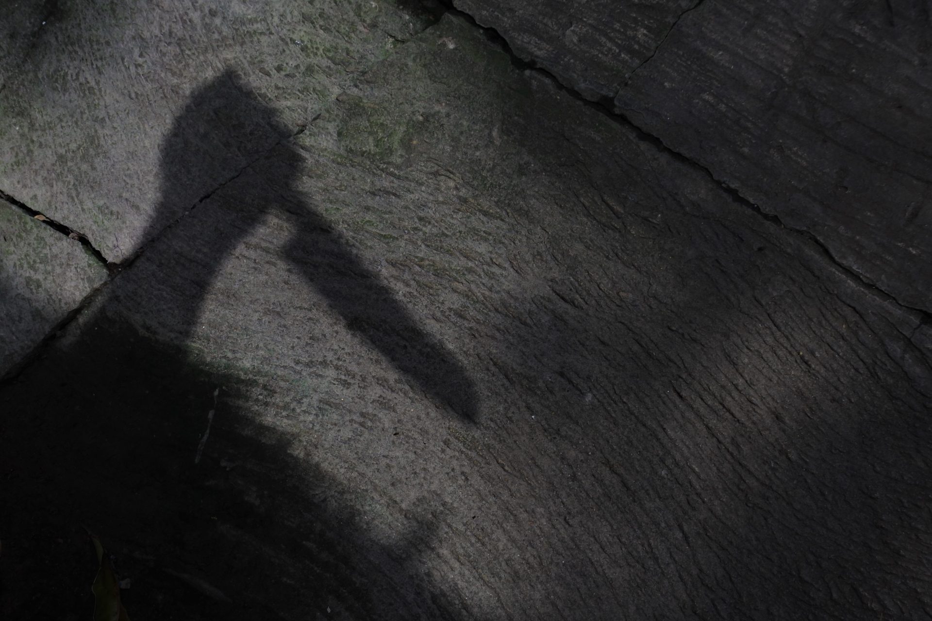 high angle shot of a shadow of human hand holding 2023 11 27 05 04 56 utc