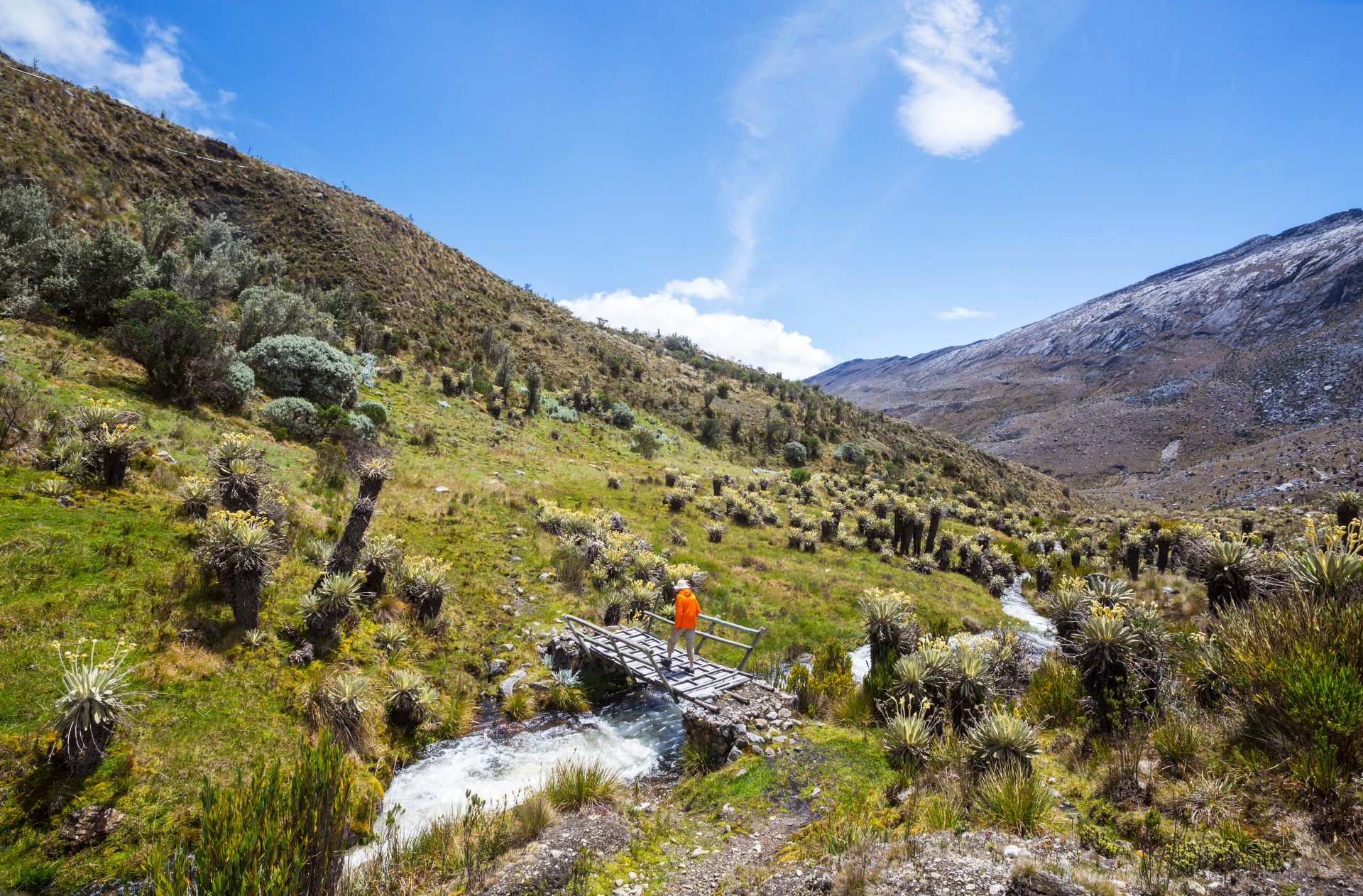 hike in colombia 2023 11 27 04 58 45 utc