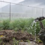 pipes and tap water for watering plants 2023 11 27 05 11 02 utc
