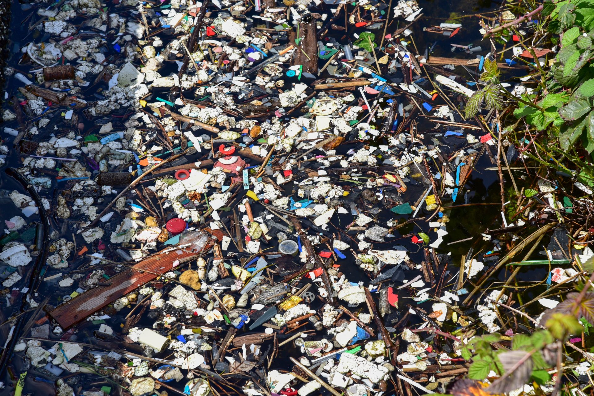 plastic garbage pollution in water 2023 11 27 04 54 50 utc