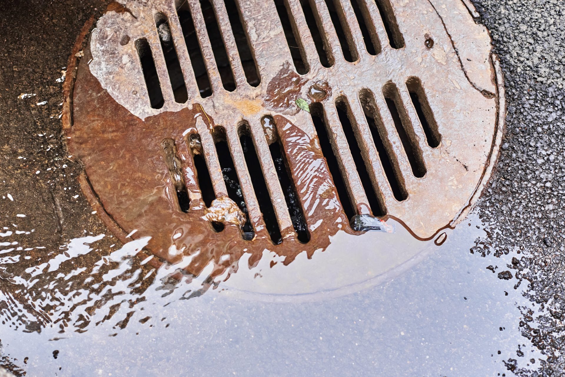 water draining into a sewer manhole after rain on 2023 11 27 05 11 28 utc