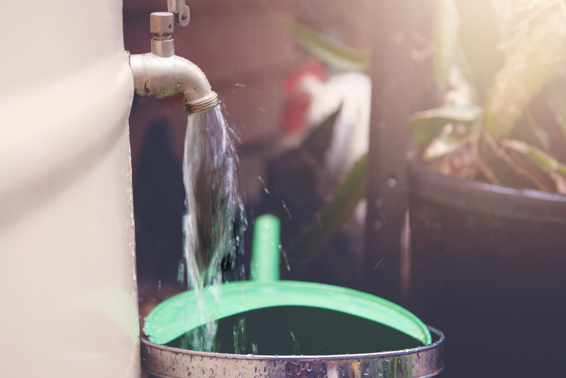 water from a tap filling a watering can 2023 11 27 05 06 21 utc