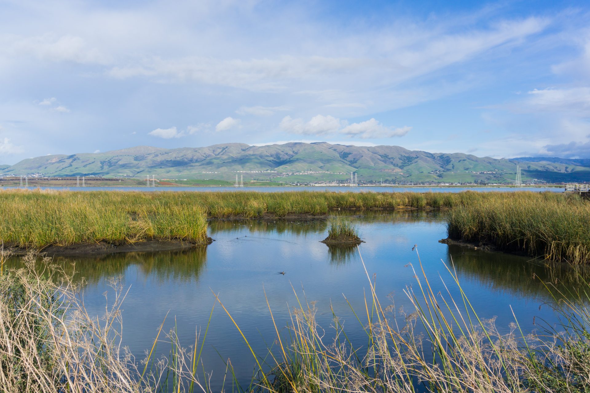 wetlands in south san francisco bay 2023 11 27 05 21 22 utc
